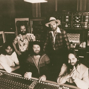 Wouldn't It Be Nice de The Beach Boys